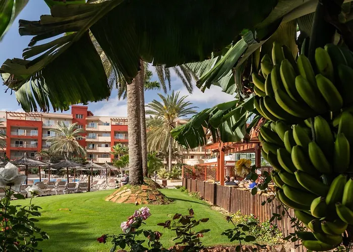 Resort Elba Carlota & Golf 4*